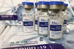 مجوز مصرف اورژانسی واکسن 