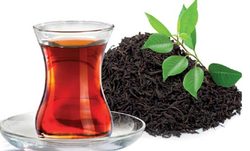 کالاهای اساسی؛ رکورددار افزایش قیمت