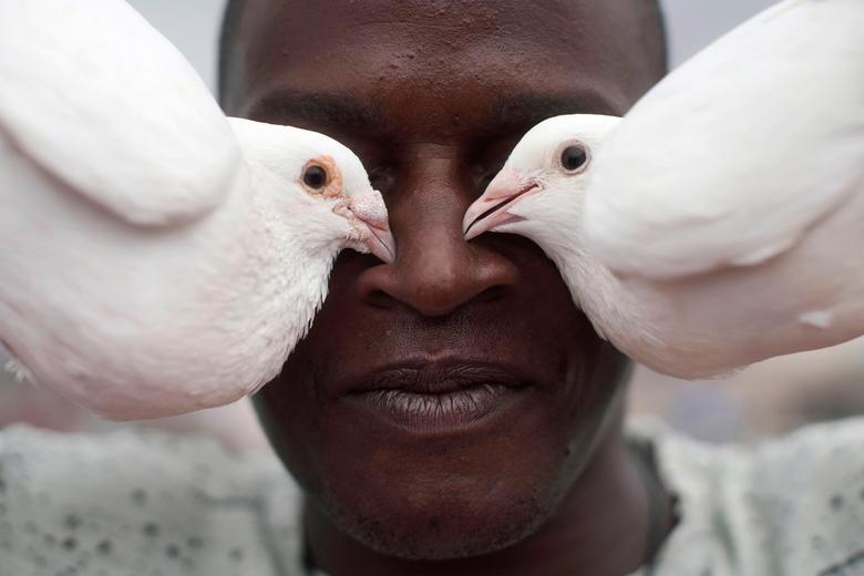 عکس/ کبوتر‌های زیبای مرد کوبایی
