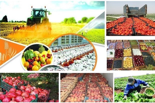 صادرات ۱۰۴ هزارتن محصولات کشاورزی از مرز میرجاوه