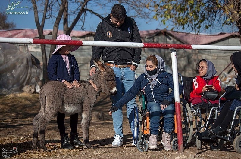 آموزش سوارکاری ویژه معلولان در کرمانشاه
