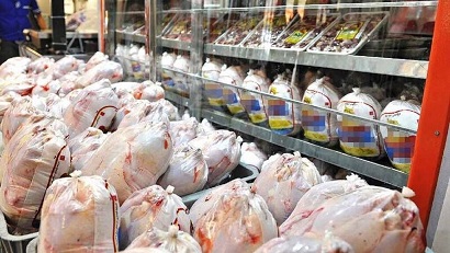قیمت مرغ گرم در تهران کاهش یافت