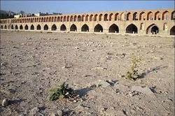 بیپاسخ ماندن سوال از وزیر جهاد کشاورزی درباره زایندهرود