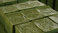 تصاویر/ شهری که همه قصابند