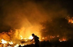 بیش‌از ۱.۵ هکتار از عرصه‌های جنگی شرق مازندران در آتش سوخت