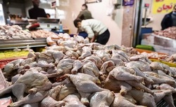 قیمت گوشت، مرغ و تخممرغ در میادین میوه و تره بار