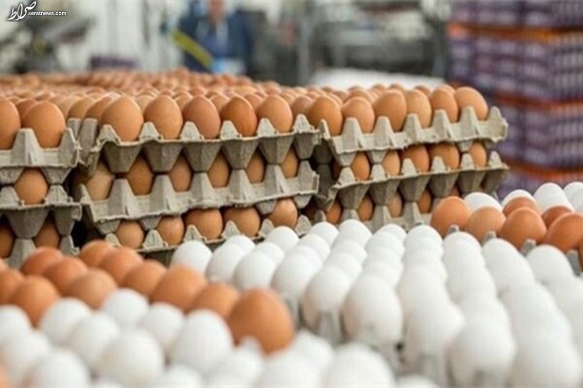 قیمت‌های متفاوت ۳۰ تا ۳۷ هزار تومانی مرغ در کشور