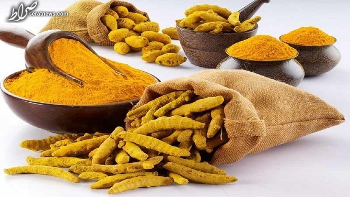 ماجرای جنجالی زردچوبههای ماسه ای!