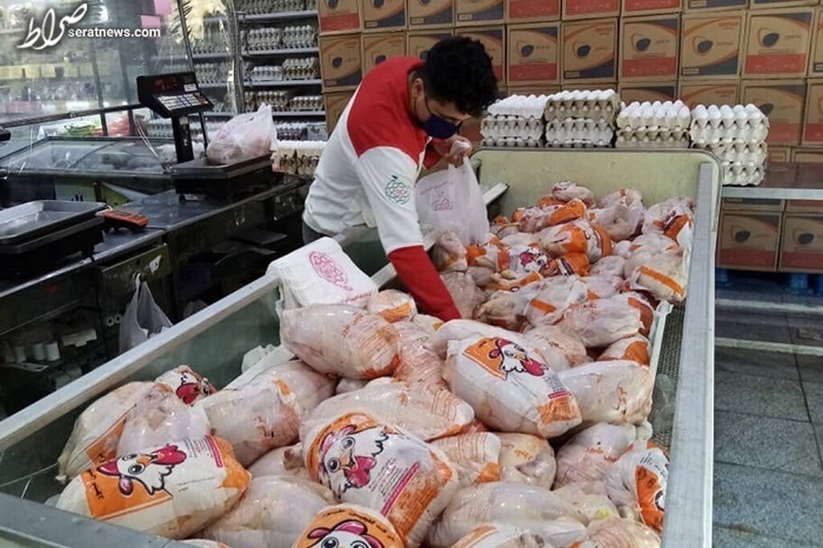 مرغ در سراشیبی قیمت