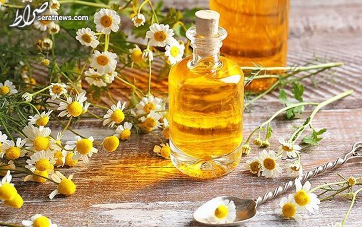 ماساژ بدن با روغن بابونه برای کاهش بدن درد مبتلایان به کرونا