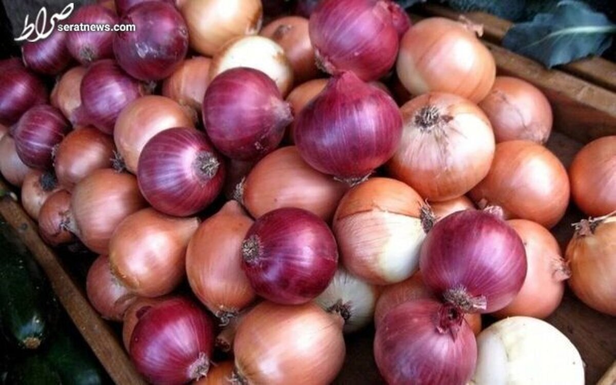 رئیس اتحادیه بارفروشان تهران؛ ۶۰۰ تن پیاز امشب به تهران میرسد