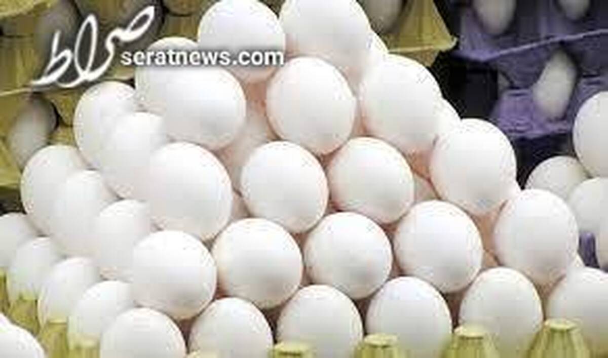 ضرورت جمع آوری روزانه ۱۵۰۰ تن مرغ مازاد از سطح بازار