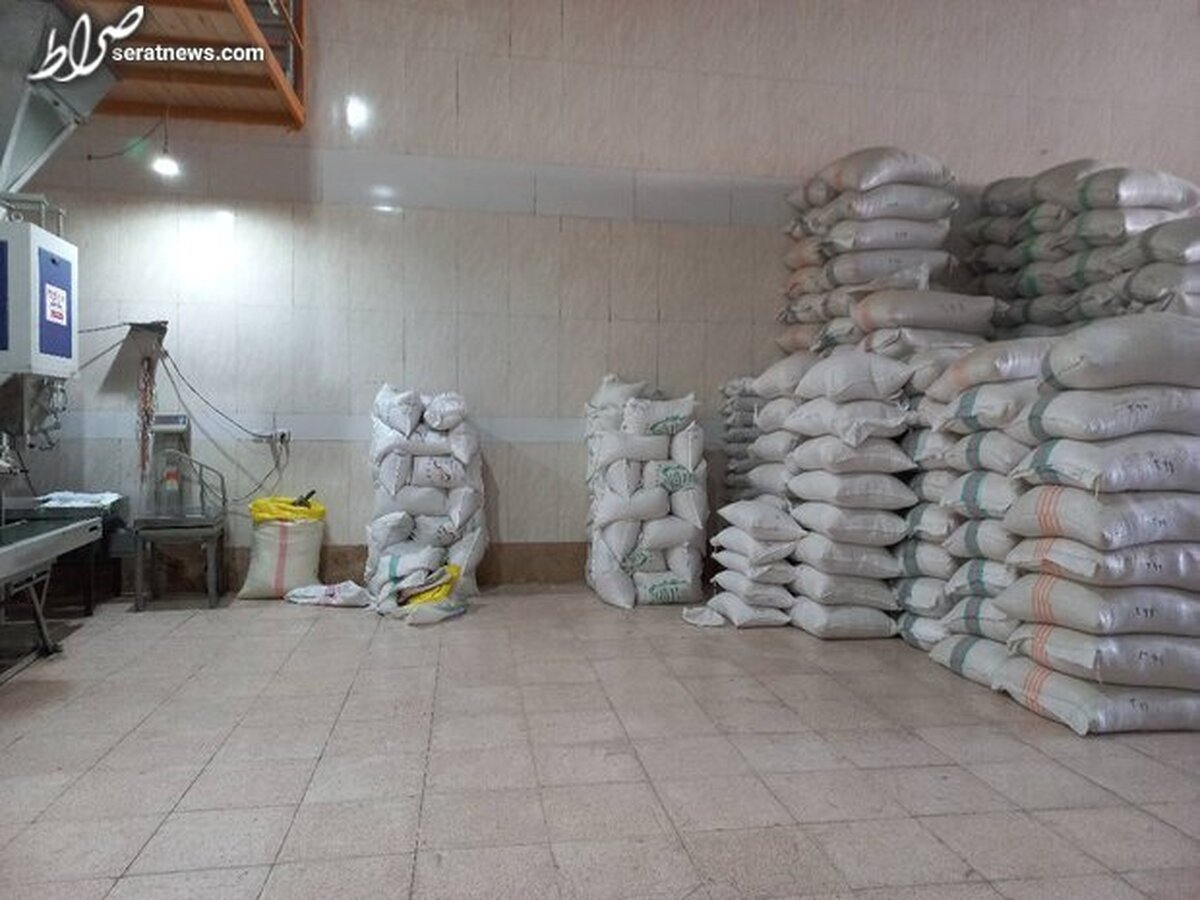 آغاز صادرات برنج ایرانی