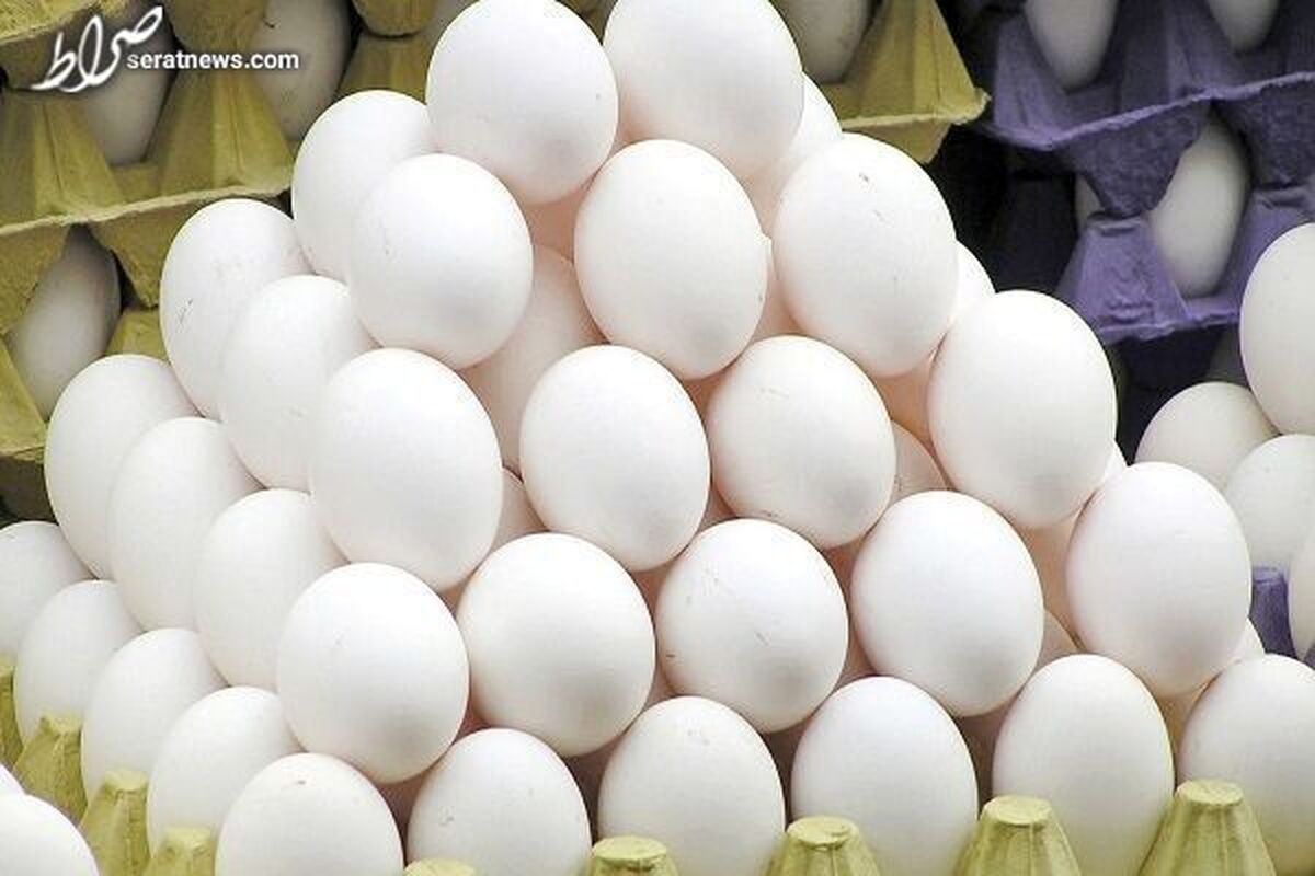 طرح تشدید بازرسی بر بازار تخم مرغ آغاز شد