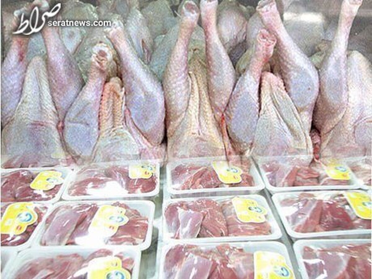 معاون وزیر جهادکشاورزی: قیمت مرغ تا پایان سال تغییر نمی‌کند/ بازار گوشت به ثبات می‌رسد