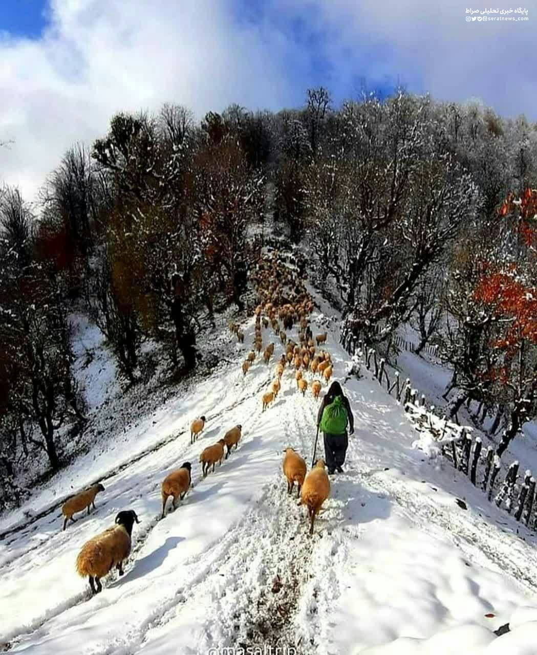 تصویر /طبیعت برفی اولسبلانگاه؛ ماسال، گیلان زیبا