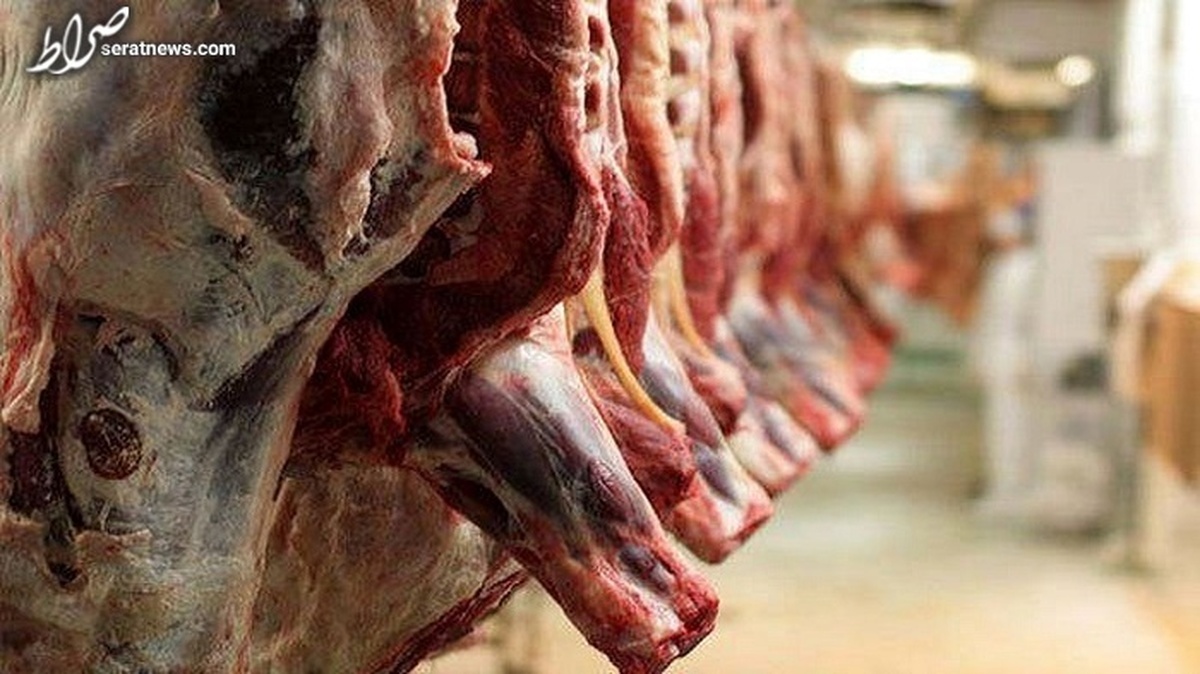 گوشت قرمز ۱۰۰ تا ۱۵۰ هزار تومان ارزان می‌شود