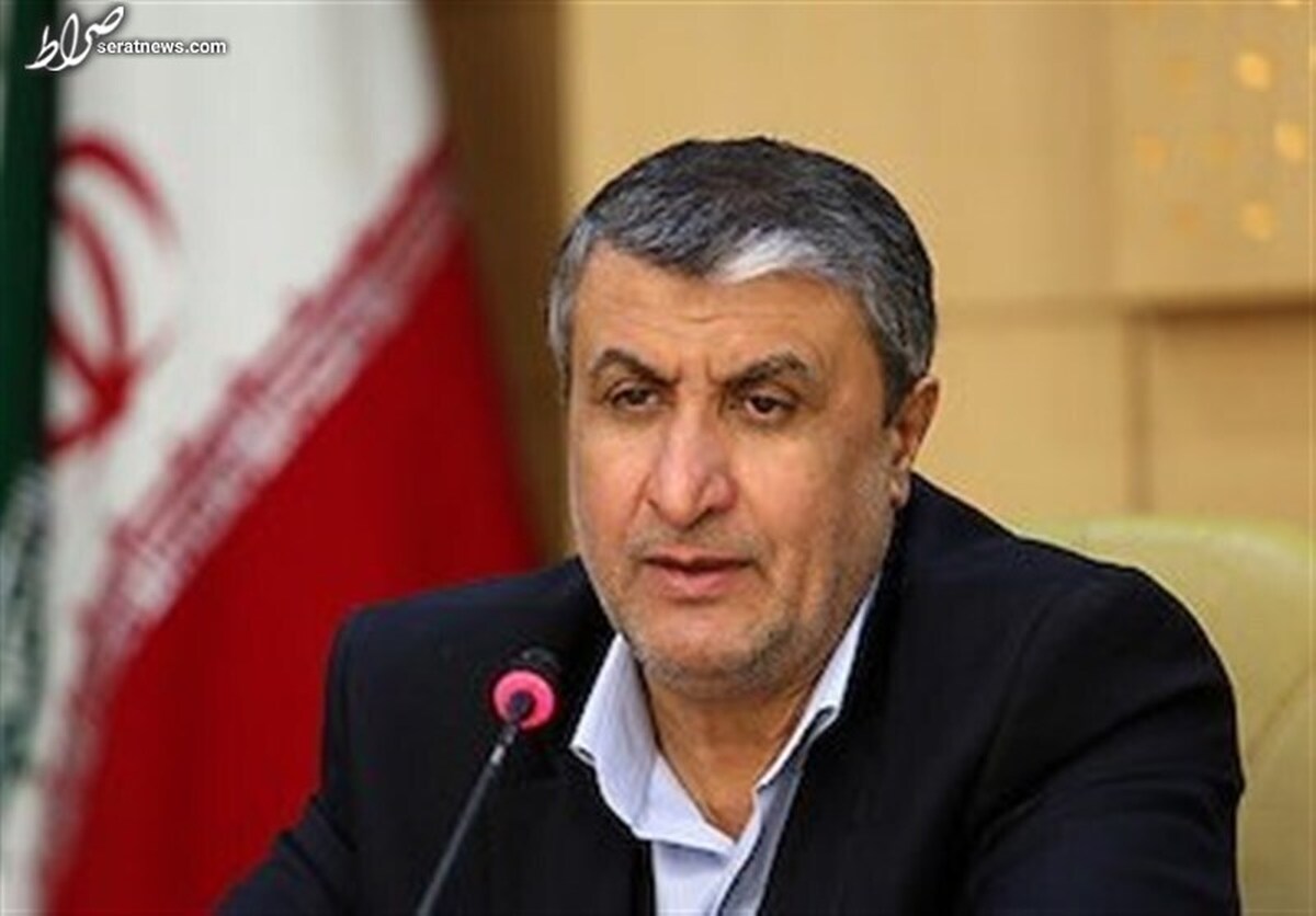 آژانس، اطلاعات برنامه هستهای ایران را به مخالفان احیای توافق هستهای میدهد