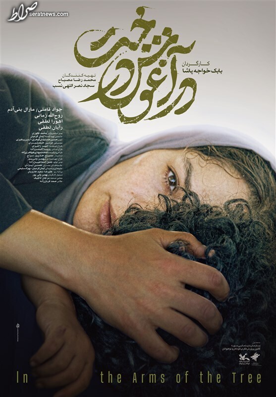 نهمین روز از جشنواره فیلم فجر؛ جنوب ایران گرمابخش فجر ۴۱