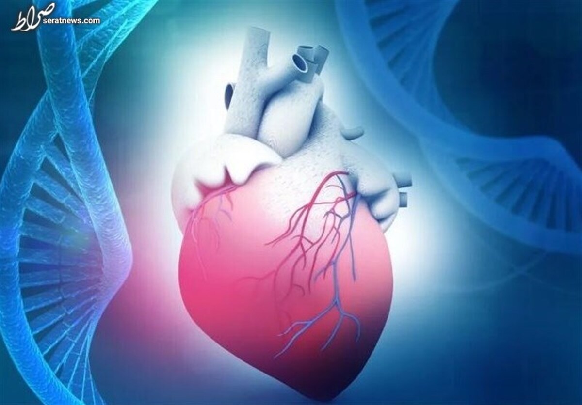 کشف ژن ضد پیری که قلب را ۱۰ سال جوان‌تر می‌کند!