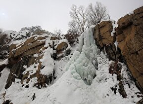تصاویر / یخ زدن آبشار گنج نامه - همدان
