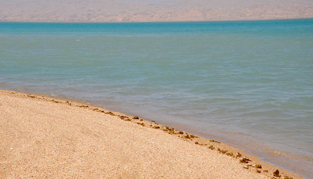 از جزایر بکر و خاص اطراف بوشهر چه می‌دانید؟
