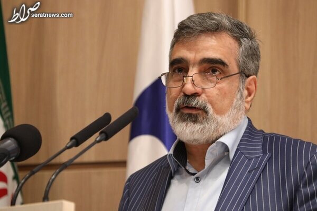 کمالوندی: تاکنون اورانیوم بالای ۶۰ درصد غنیسازی نکردهایم/اقدام بلومبرگ سیاهنمایی است