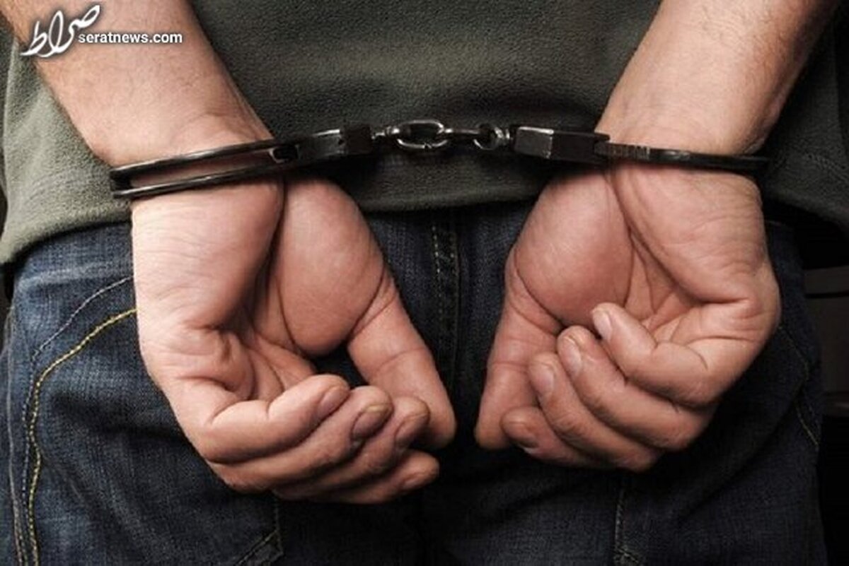 اطلاعیه فراجا درخصوص بازداشت عاملان رفتار نامناسب با یک زن: تحویل بازداشتشدگان به دادسرا