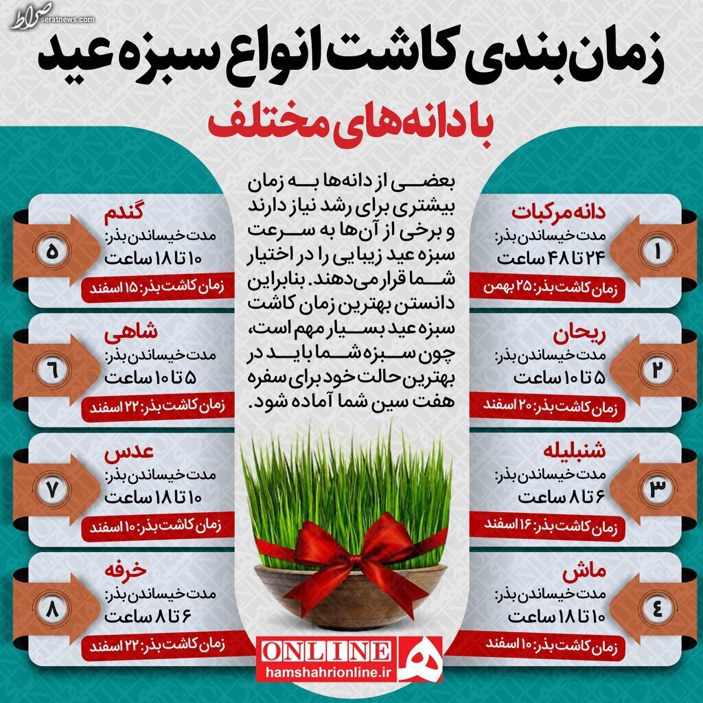 اینفوگرافیک/ بهترین زمان برای کاشت انواع سبزه عید