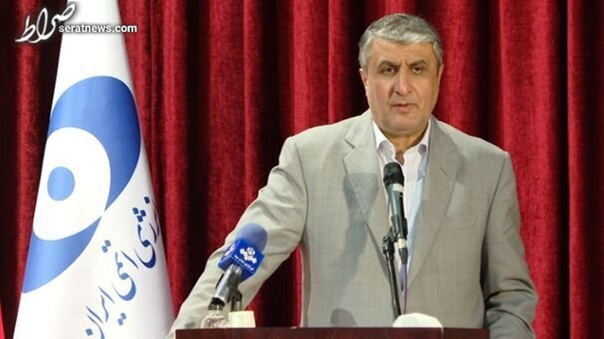 در پی بی عهدی طرفین برجام، تعهداتمان را کاهش دادیم