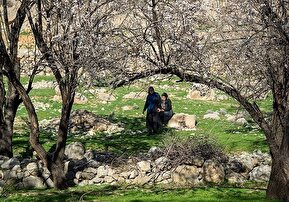 تصاویر / بوی بهار در حصار