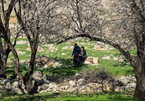 تصاویر / بوی بهار در حصار