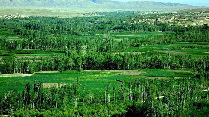 فیلم / طبیعت زیبای افغانستان