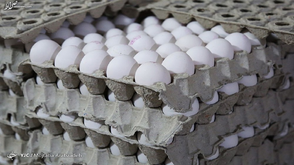 عرضه تخم مرغ کماکان کمتر از نرخ مصوب