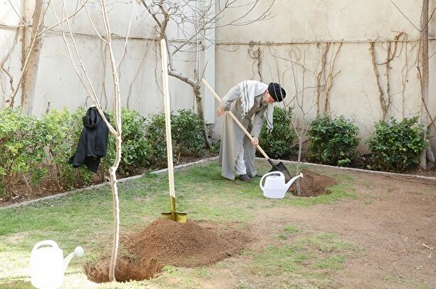 تصاویر / کاشت سه اصله نهال میوه توسط مقام معظم رهبری