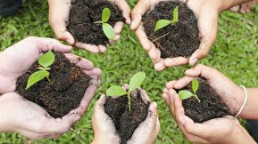 موشن گرافیک / ثواب درختکاری در روایات