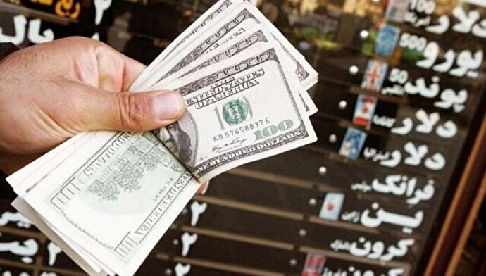 فیلم/ورود سنگین ارز به ایران از کشور‌های حاشیه خلیج فارس