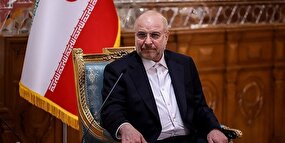 قالی باف در سال آخر مجلس همچنان وعده سر خرمن می دهد!/ موضوع سربازی بازنگری می‌شود/ در حوزه مالیات سراغ دانه درشت‌ها می‌رویم و ...!