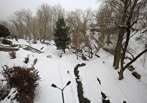 تصاویر / طبیعت زمستانی همدان