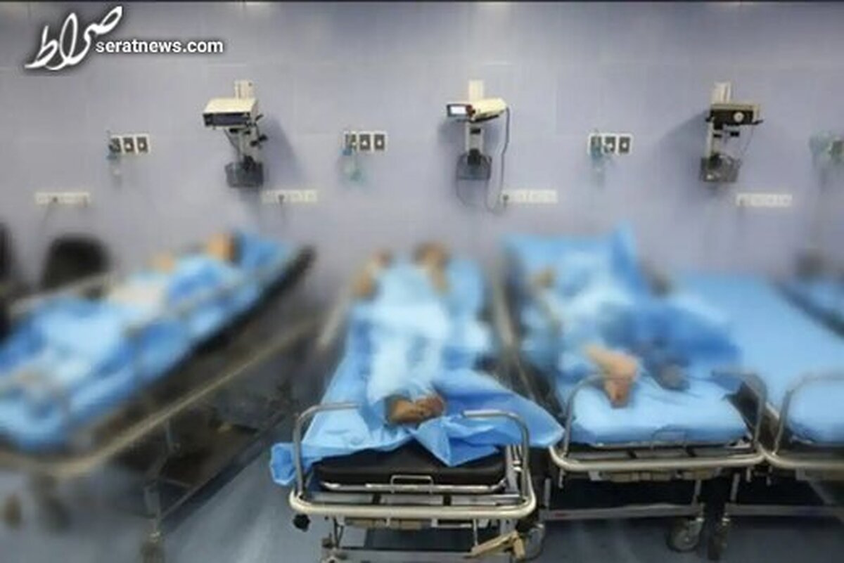 توضیح فاضل میبدی درباره انتشار خبری از وی درباره «پشت پرده» مسمومیت سریالی دانشآموزان دختر