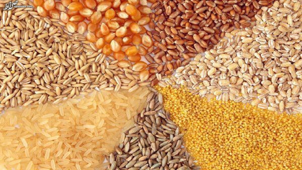 قیمت جدید نهادههای دامی اعلام شد