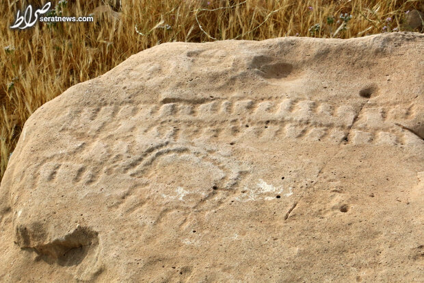 کشف سنگ نگاره پیش از تاریخ در کازرون/ اثری که به عصر مفرغ می‌رسد + عکس