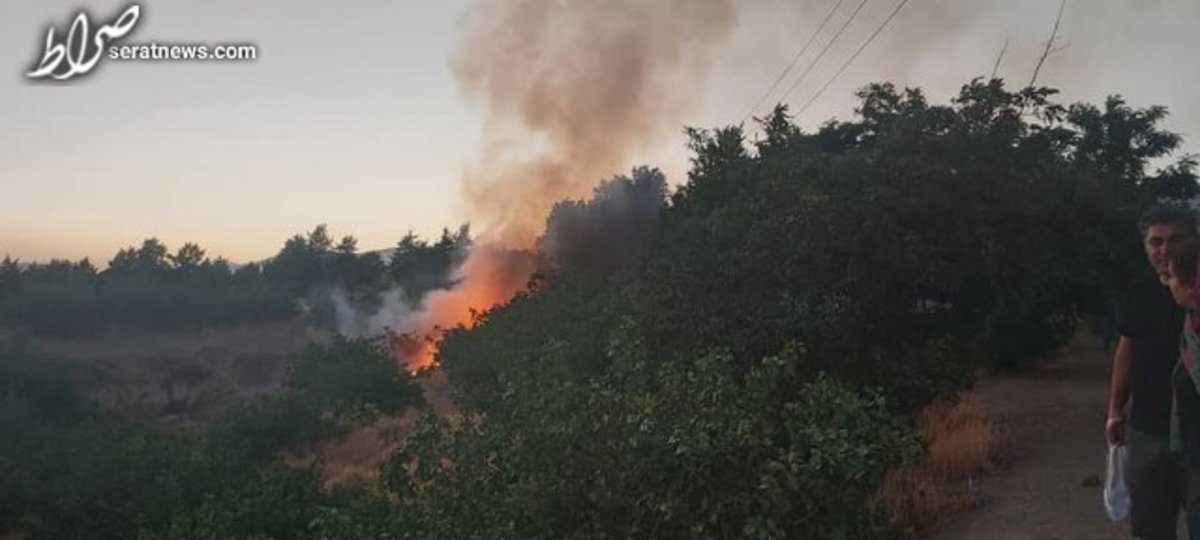 آتش سوزی در پارک پردیسان