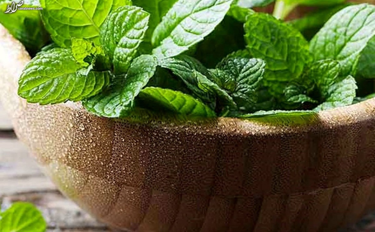 همه چیز درباره غذاهای با طبع سرد