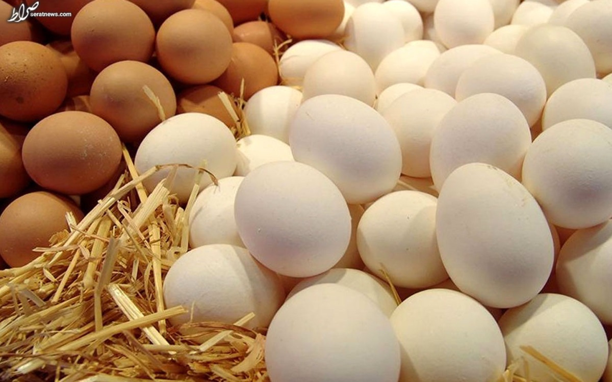 نرخ مصوب هر کیلوگرم تخم‌مرغ اعلام شد