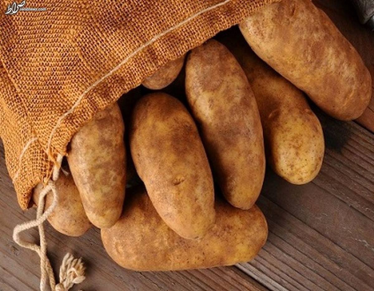 سیب زمینی گران میشود