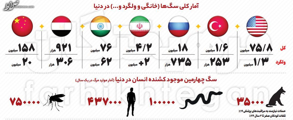 عکس/ تعداد سگ‌های ولگرد در ایران ۸ برابر ترکیه!