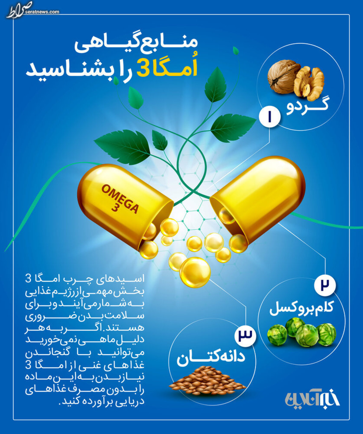 اینفوگرافیک / منابع گیاهی امگا۳ را بشناسید