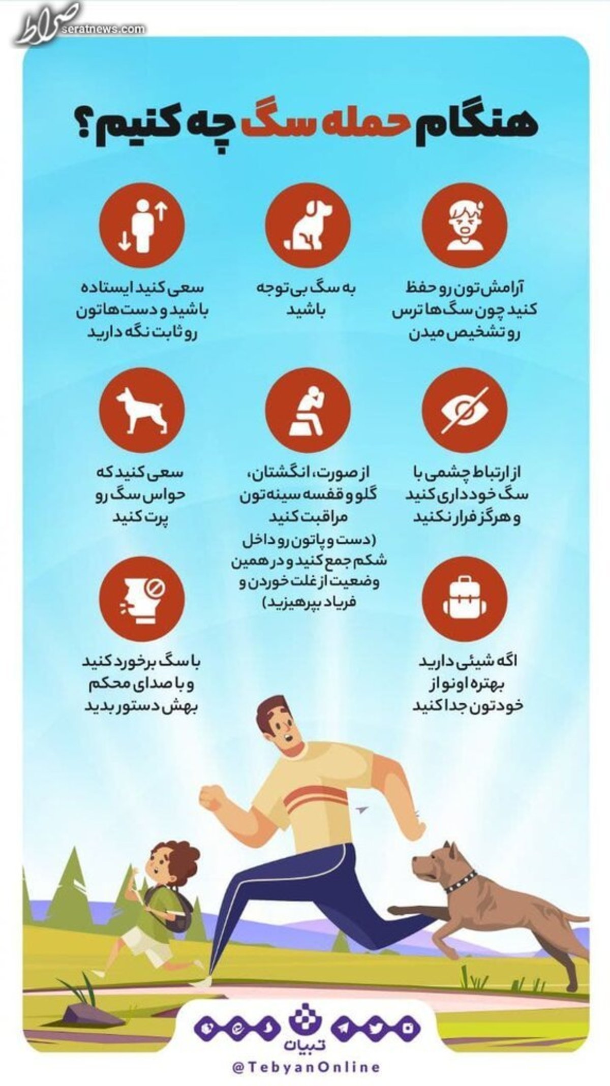 اینفوگرافیک/ هنگام حمله سگها چه کنیم؟