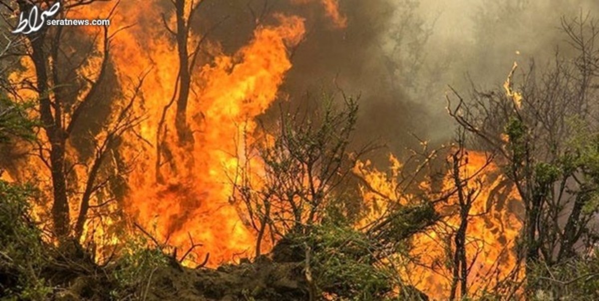 عکس / خاکستر شدن جنگل‌های شمال شهر بارسلونا اسپانیا در اثر آتش سوزی